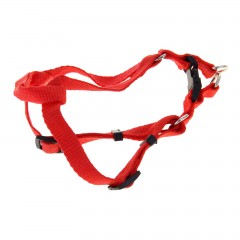 Комплект «Базис», поводок 120 х 1,5 см, шлейка 32-46 х 1,5 см, красный - Фото 2