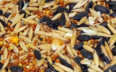 Корм для средних попугаев «Комплексное меню», 400 гр - Фото 1