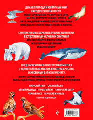 Красная книга России: все о жизни дикой природы - Фото 1