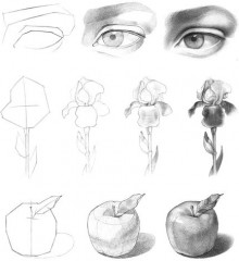 Скетчбук «Тропические листья» - Фото 1