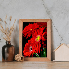 Картина по номерам «Красные герберы» - Фото 2