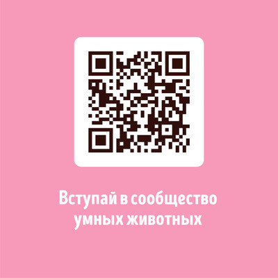 Наполнитель для кошачьего туалета кукурузный