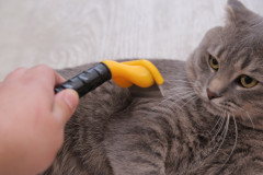 Фурминатор для кошек и собак - Фото 5