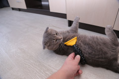 Фурминатор для кошек и собак - Фото 6