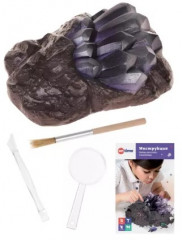 Набор раскопок «Сокровища» - Фото 2