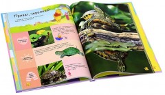 Животные. Моя первая энциклопедия с Медвежонком Винни и его друзьями - Фото 1