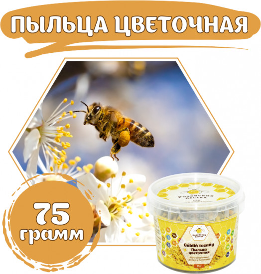 Пыльца