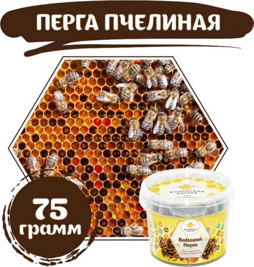 Перга