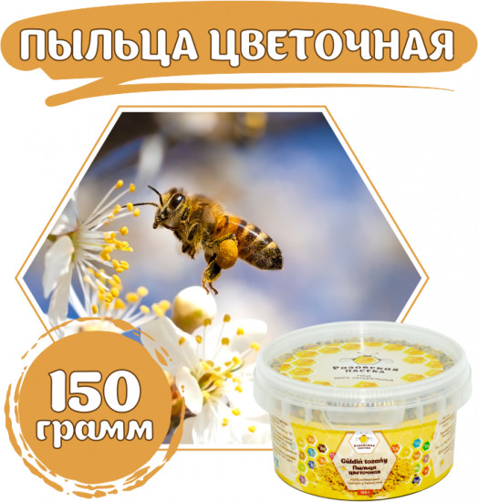 Пыльца