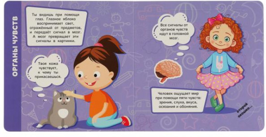 Книга с большими окошками «Тело человека»