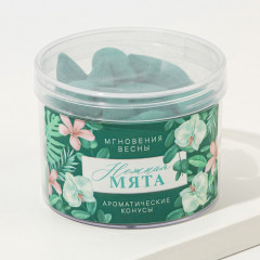 Благовония «Нежная мята» - Фото 1