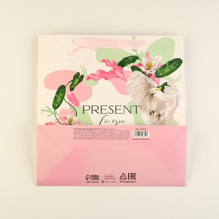 Пакет подарочный «Present for you» | Нежные цветы | Дарите Счастье | Фото 4