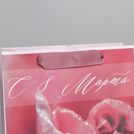 Пакет подарочный