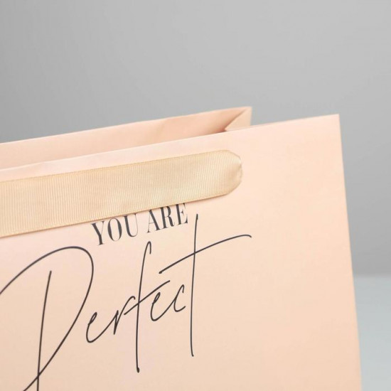 Пакет подарочный «You are perfect»