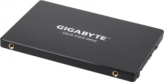 SSD накопитель Gigabyte GP-GSTFS31256GTND