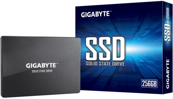 SSD накопитель Gigabyte GP-GSTFS31256GTND
