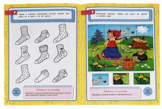 Память, внимание, логика. Рабочая тетрадь.Годовой курс. Школа Жуковой 4-5 лет