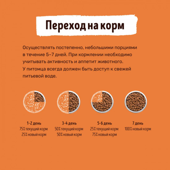 Корм для взрослых собак с индейкой
