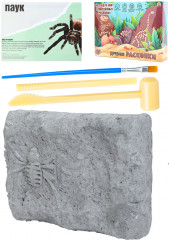 Набор археолога «Паук» - Фото 1