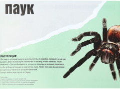 Набор археолога «Паук» - Фото 2