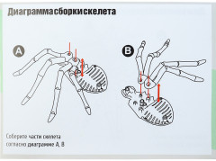 Набор археолога «Паук» - Фото 3