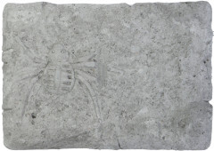 Набор археолога «Паук» - Фото 5