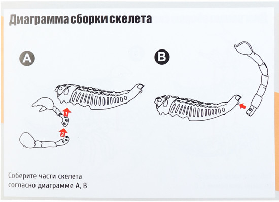 Набор археолога «Скорпион»