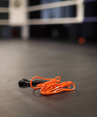 Скакалка IN22-JR100 - Фото 4