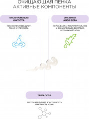 Набор подарочный «3-х ступенчатое очищение» - Фото 6