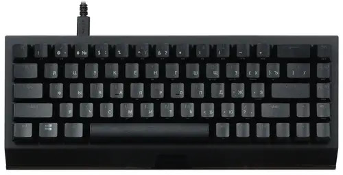 Клавиатура проводная Razer BlackWidow V3 Mini HyperSpeed