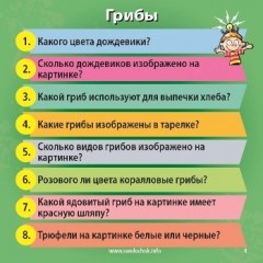 Настольная игра «Природа» - Фото 1