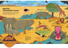 Энциклопедия с окошками. Животные - Фото 1