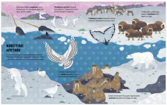 Энциклопедия с окошками. Животные - Фото 2