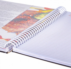 Книга для записей кулинарных рецептов «Моя кухня» - Фото 3