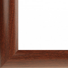 Рама багетная «Rona» - Фото 1