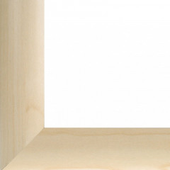 Рама багетная «Rona» - Фото 1