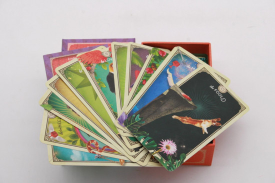 Tarot Of Curious Creatures