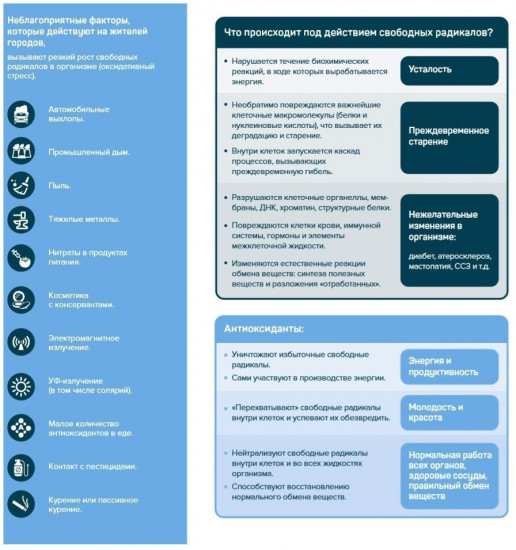 Комплекс антиоксидантный «Синергин»