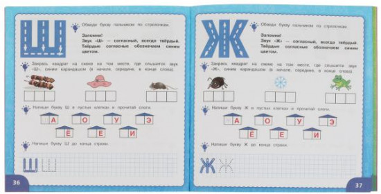 IQ годовой курс 5-6 лет
