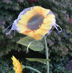 Мешок сетчатый для защиты фруктов - Фото 2