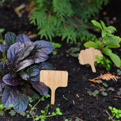 Набор садовых табличек - Фото 4