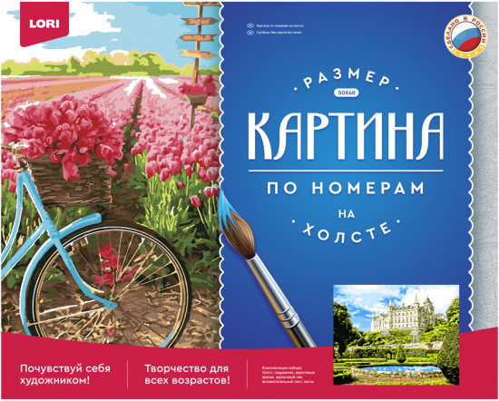 Картина по номерам «Замок Данробин»
