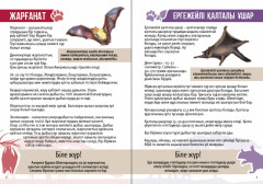 Жануарлар - Фото 1