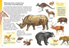 Жануарлар әлемі - Фото 1