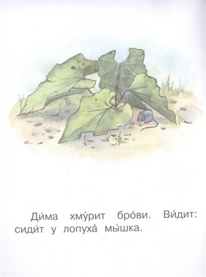 Ступень 3. Первые правила. Охрана