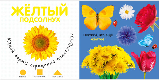 Первая фотокнига малыша. Цвета