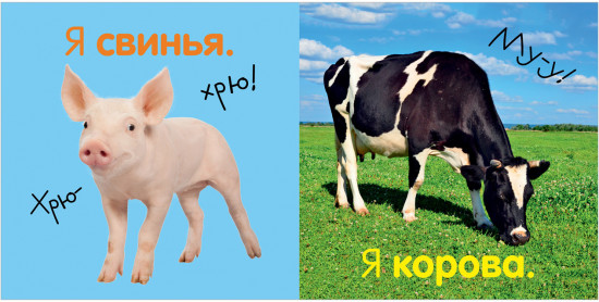 Первая фотокнига малыша. Животные