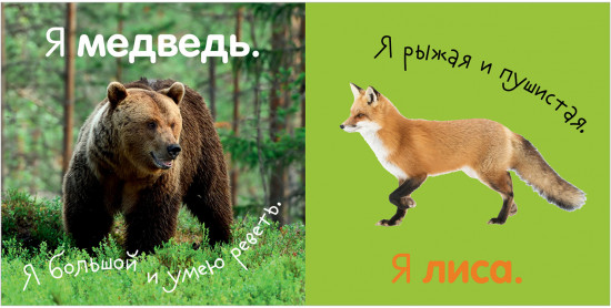 Первая фотокнига малыша. Животные