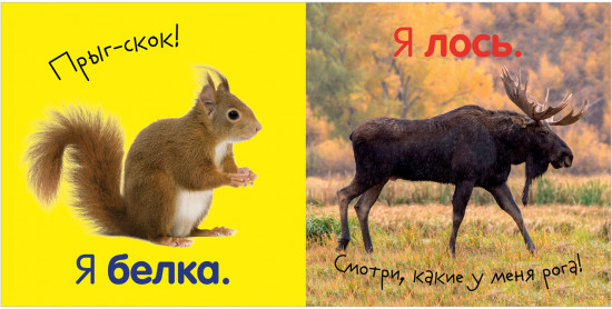 Первая фотокнига малыша. Животные