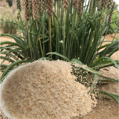 Псиллиум шелуха подорожника - Фото 1